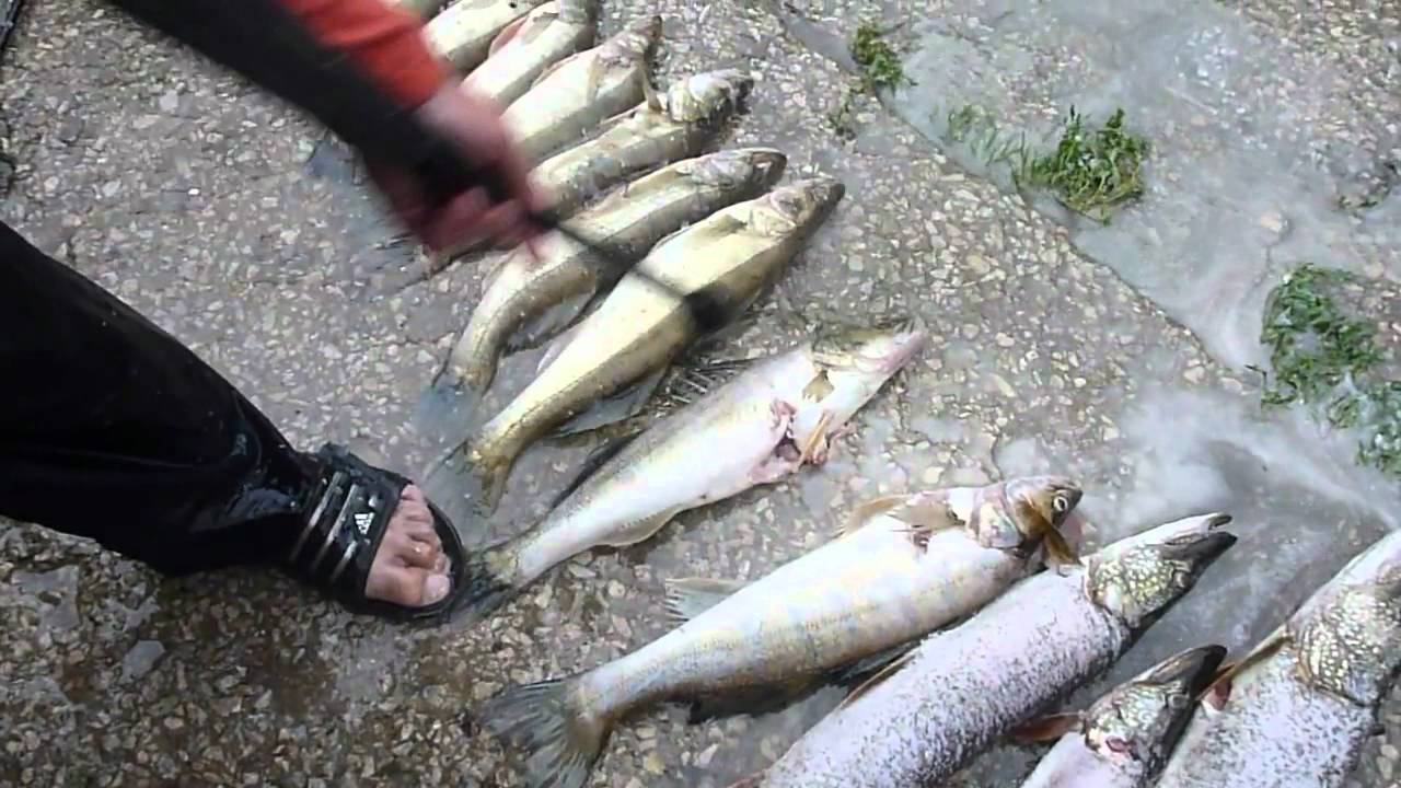Нож качественно Нож качественно