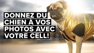 Donnez du chien à vos images avec cellulaire et ces 2 applications!