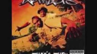 Watch Artifacts Whos This video