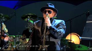 Watch Van Morrison The Way Young Lovers Do video