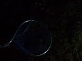 Watch: Real Scary!!!!!!! Unknown Creatures Caught On Tape Videos Demon Paranormal / Mbjreport Real Scary!!!!!!! Unknown Creatures Caught On Tape Videos Demon Paranormal / Mbjreport