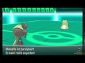 Suis Arenaleiterburg - #9