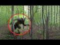 10 Werewolves Caught on Camera!