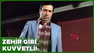 Yedi Bela Hüsnü Türk Filmi Hüsnünün Namı Yayılıyor