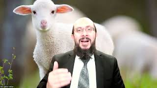Behaâlotekha 5782 - Rav Yaakov Gabay