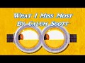 Calum Scott - What I Miss Most ( Minion Version)