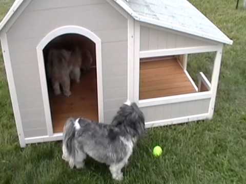 Precision Outback Savannah Dog House with Porch Reviews | Buzzillions 