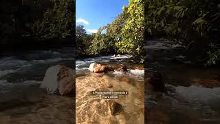 Praia Do Pequizeiro Tocantins