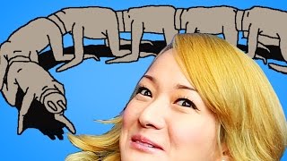Human Centipede THE GAME