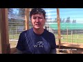 How To Get Rid Of Wasps Naturally