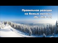 Тихое время с Живой Жизнью: Псалом 25 (6122016)