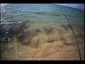 Mahaulepu with Mark White Lures