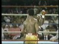 knockout
