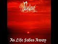 view The Shadow Of Sorrow