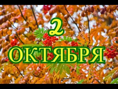 Октябрь всемирные праздники Октябрь всемирные праздники