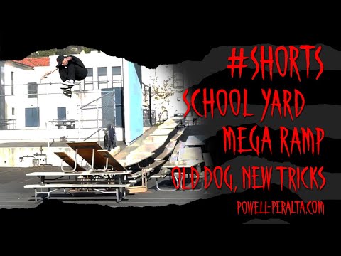 #Shorts 'School Yard Mega Ramp'