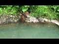 【HD】山形肘折温泉先石抱温泉