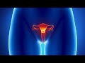 Human Physiology - Reproduction: Female Sexual Response