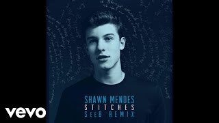 Shawn Mendes - Stitches (Seeb Remix - Official Audio)