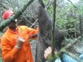 caza de chancho del monte en dpto EL ALTO CATAMARCA ARGENTINA parte 3