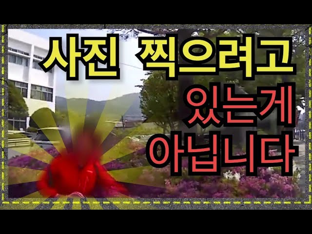 대환장 사고! 마른하늘에 날벼락도 이보단 나을 듯...