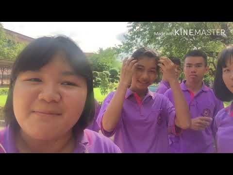 โครงสร้างภายในเเละหน้าที่ของลำต้นพืชใบเลี้ยงคู่เเละพืชใบเลี้ยงเดี่ยว