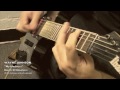 My Madness (Unofficial Video)- WAYNE JOHNSON