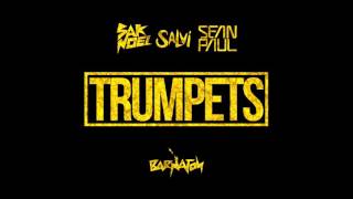Sak Noel & Salvi ft. Sean Paul - Trumpets ( Audio)