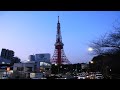 (HD)TimeLapse 華嵐 5色ライトアップ 東京タワー 2012.03.16 インターバル撮影