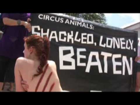 Peta Protests The Circus In Corpus Christi Tx
