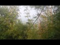 HAV 動画21b