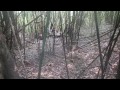 HAV 動画21c