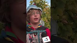 Un Remblement De 700 Scouts En Alsace