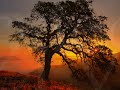 Need you each and every day! - Good Morning ecards - Everyday Greeting Cards Need you each and every day! - Good Morning ecards - Everyday Greeting Cards