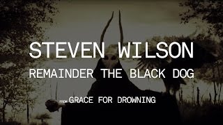 Watch Steven Wilson Remainder The Black Dog video