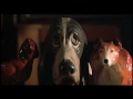 Friday Best Damn Parts Of Movie images Friday Best Damn Parts Of Movie