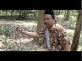 Ost Ujang Baran Drama Bersiri 13 Episod X 1 Jam images Ost Ujang Baran Drama Bersiri 13 Episod X 1 Jam