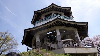 弘法山ハイキング 2016.4.9