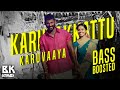 Karuvakattu Karuvaya | Bass Boosted | Maruthu | Vishal | D.imman | BK Atmos
