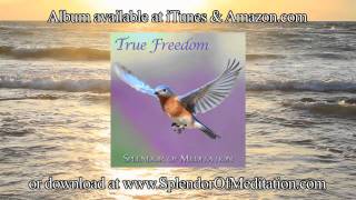 Yoga Nidra Relaxation Guided Meditation With Christine Wushke Www Splendorofmeditation Com Yoga Nidra Relaxation Guided Meditation With Christine Wushke Www Splendorofmeditation Com