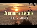 LỜI ƯỚC NGUYỆN CHÂN CHÍNH - Thích Bảo Nguyên | Xuân Đinh Dậu 2017