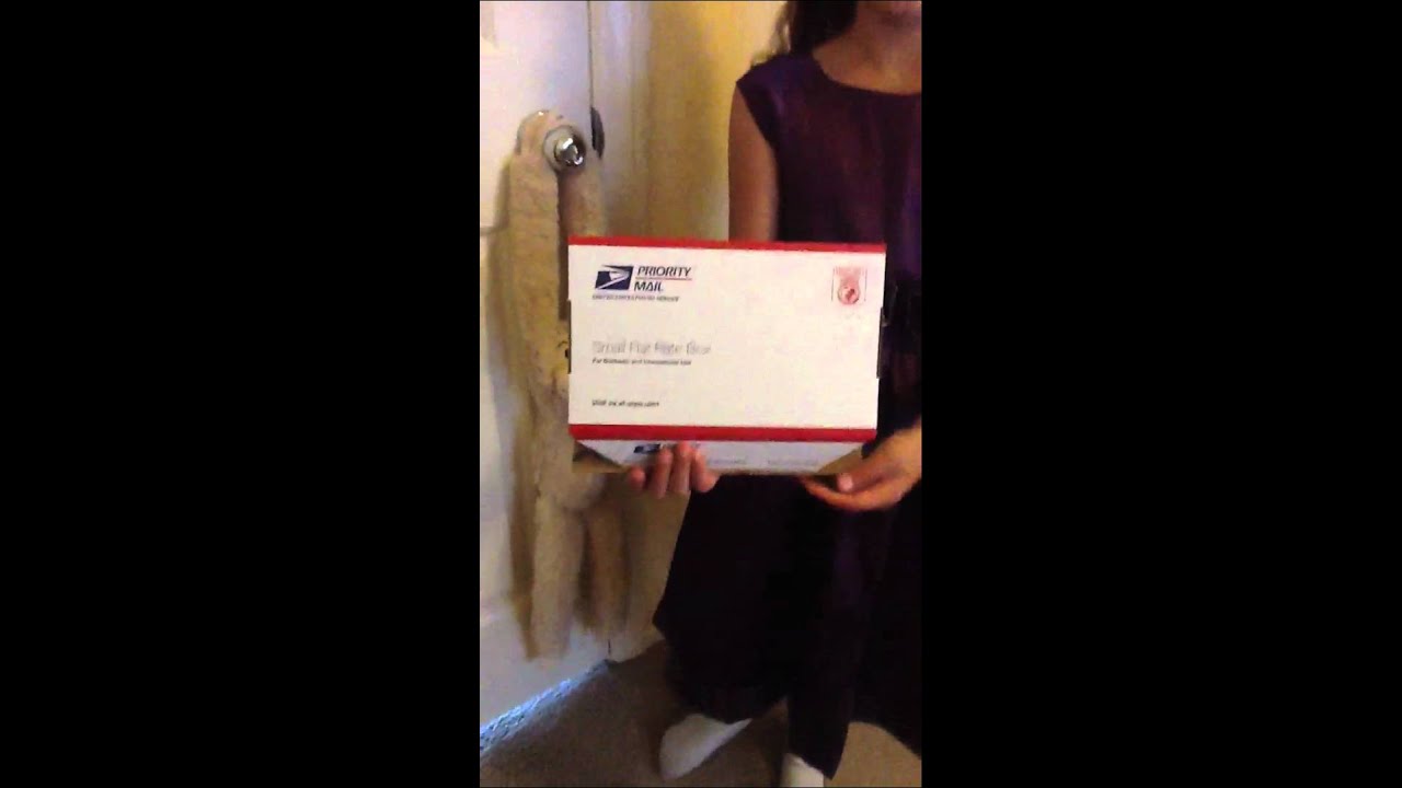 Small Flat Rate Box:USPS Priority Mail - YouTube