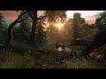 The Last of Us - Relaxing Music Compilation