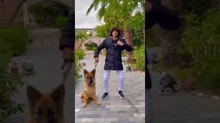 لما تمشى بالكلب بتاعك ولما تمشى من غيره 😂