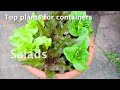 gardening