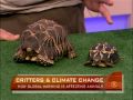 Real Victims of Climate Change