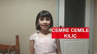 3-F Sınıfı Evde Kal 23 Nisan 100.Yıl Kutlama Etkinliği