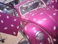 evento de autos modificados en san pablo huixtepec oaxaca club vw oaxaca