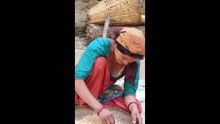 imo see live - my Aunty - video from my phone imo see live - my Aunty - video from my phone