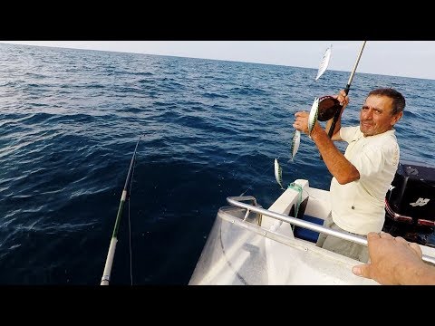 черноморская рыбалка с берега видео черноморская рыбалка с берега видео